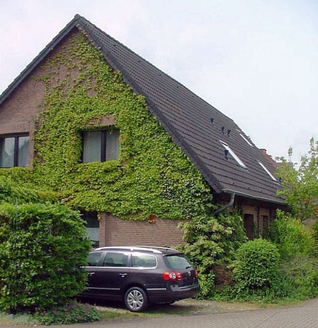 Reihen-Endhaus in Aachen